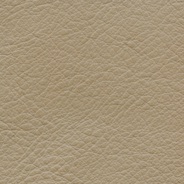 Beige Sofa Leather Texture | www.stkittsvilla.com