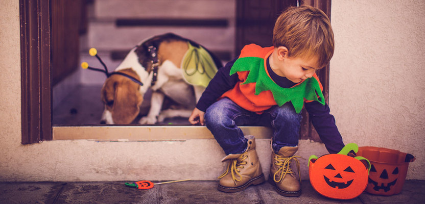 Make sure your home is prepped and ready for trick-or-treaters this Halloween weekend.