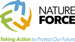 Primary Logo