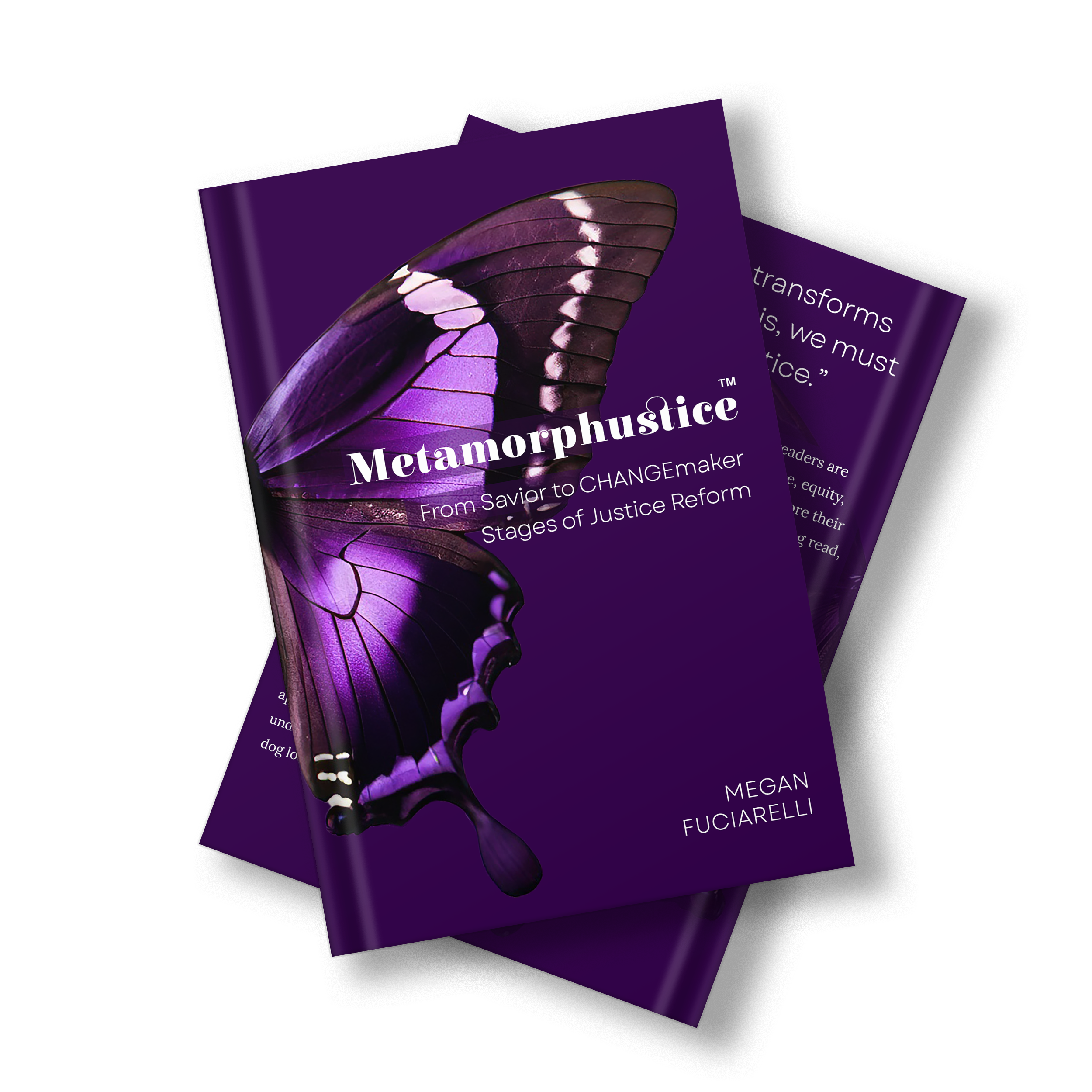 Metamorphustice: From Savior to CHANGEmaker; Stages of Justice Reform