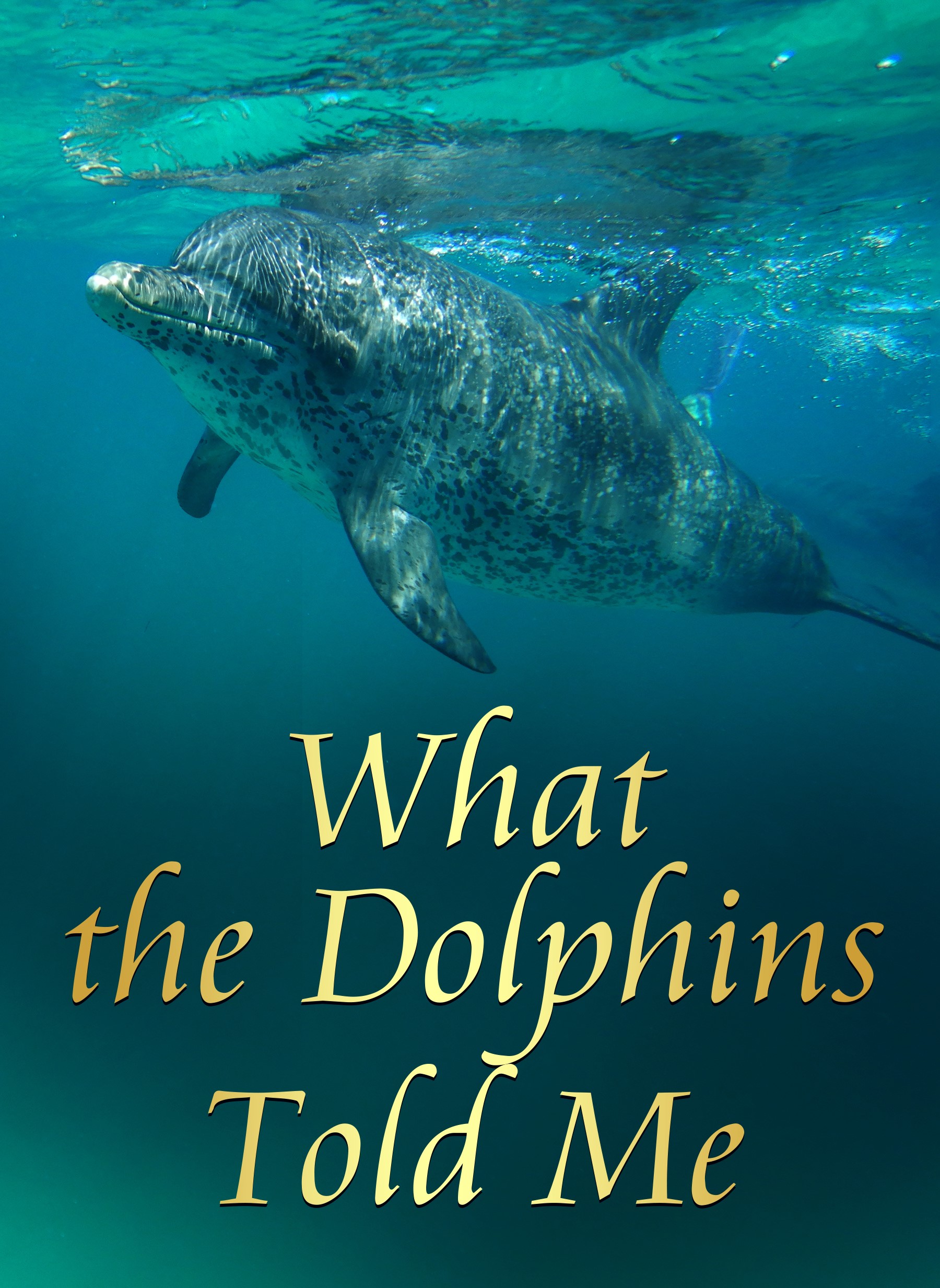 Wisdom from the Animal World