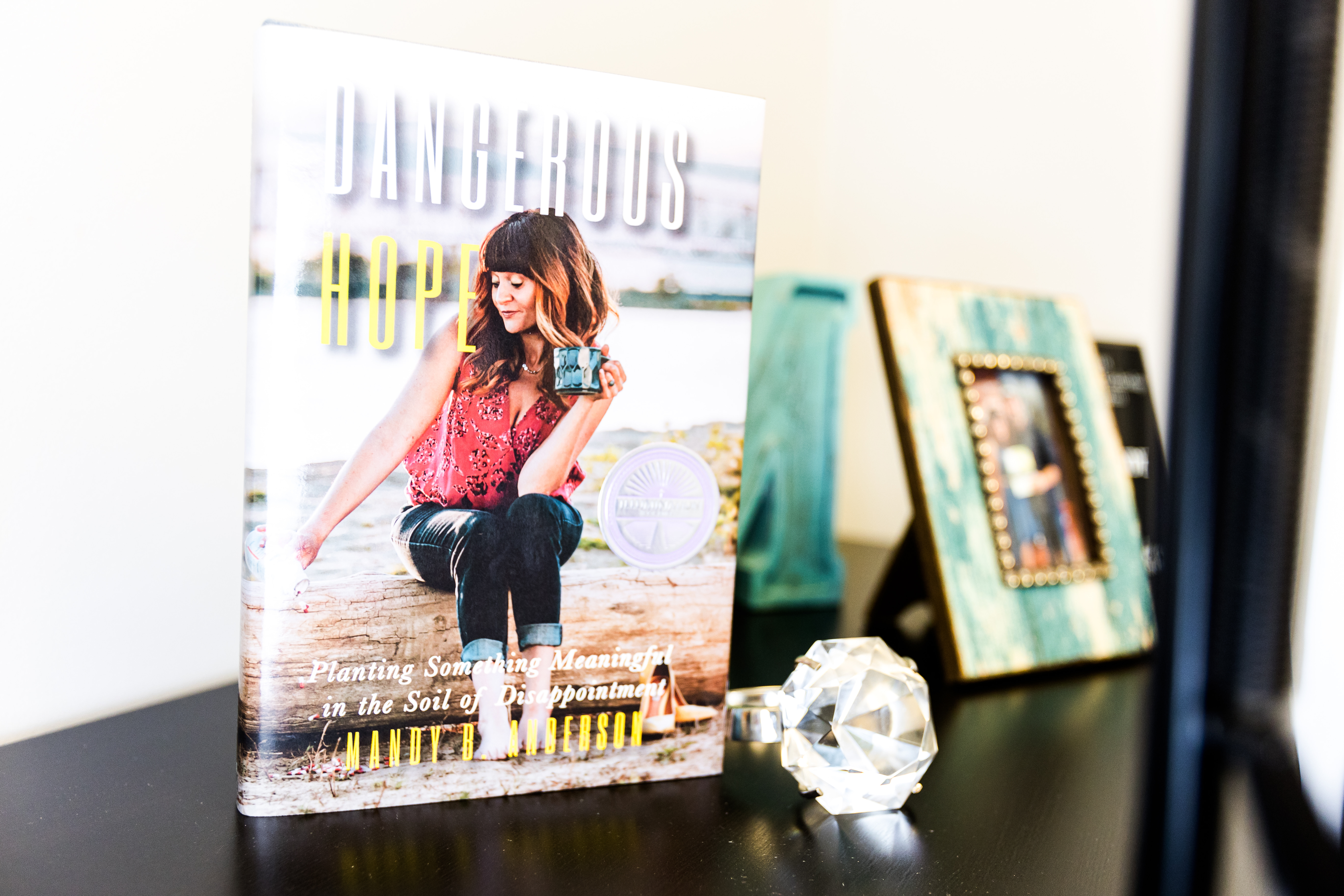 Best-Selling, Award-Winning Book: Dangerous Hope