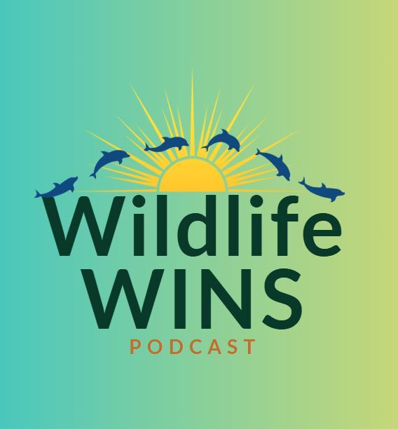 Good  news about animals and their environments