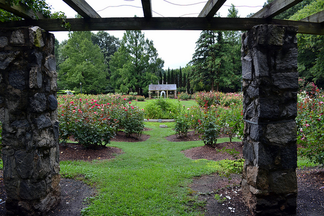 This Awesome Raleigh Neighborhood Guide Gives You The Low Down On Living There