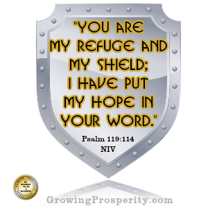 You are my shield