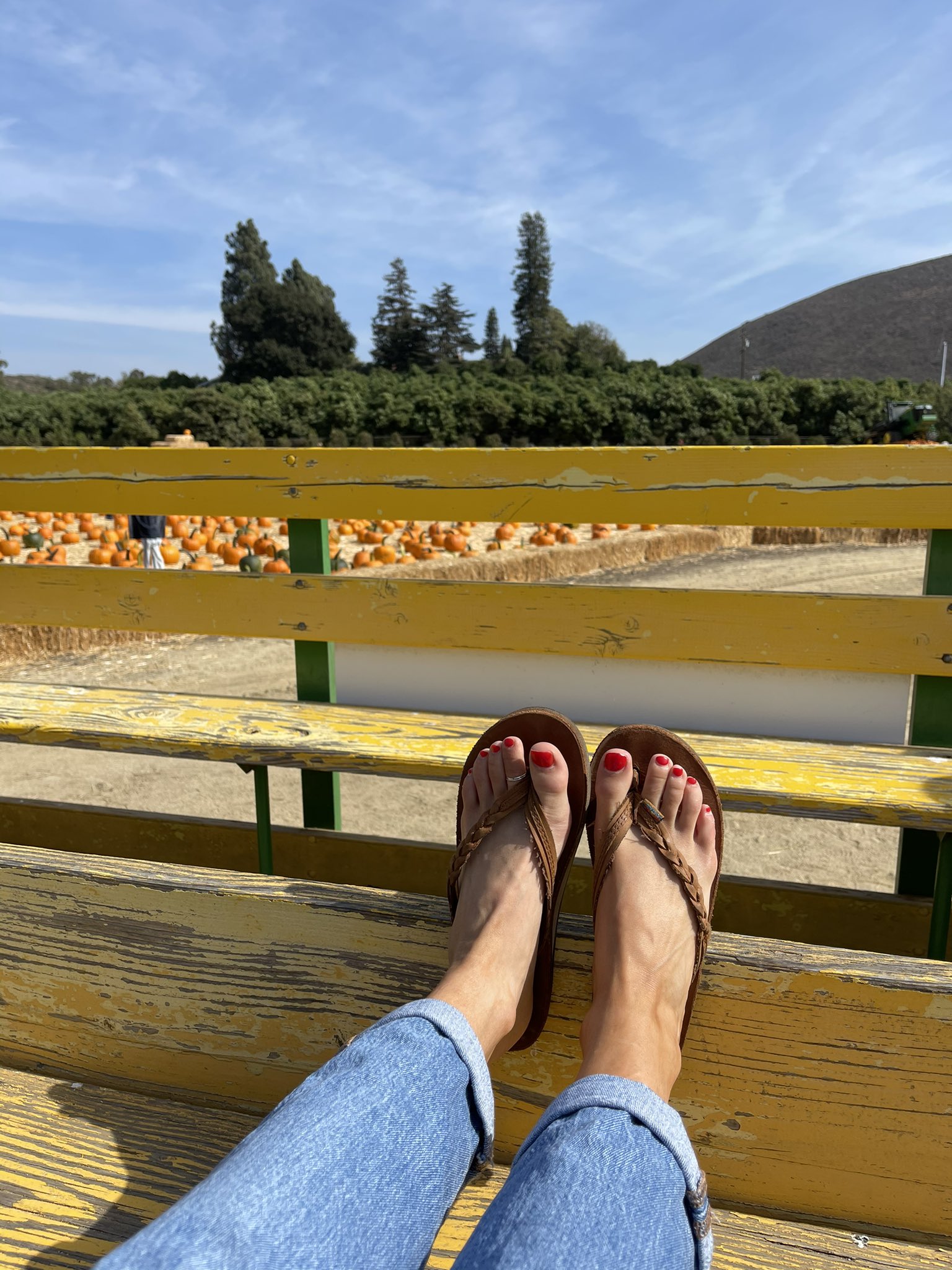 goddessniccii Free Live HD Feet Sessions