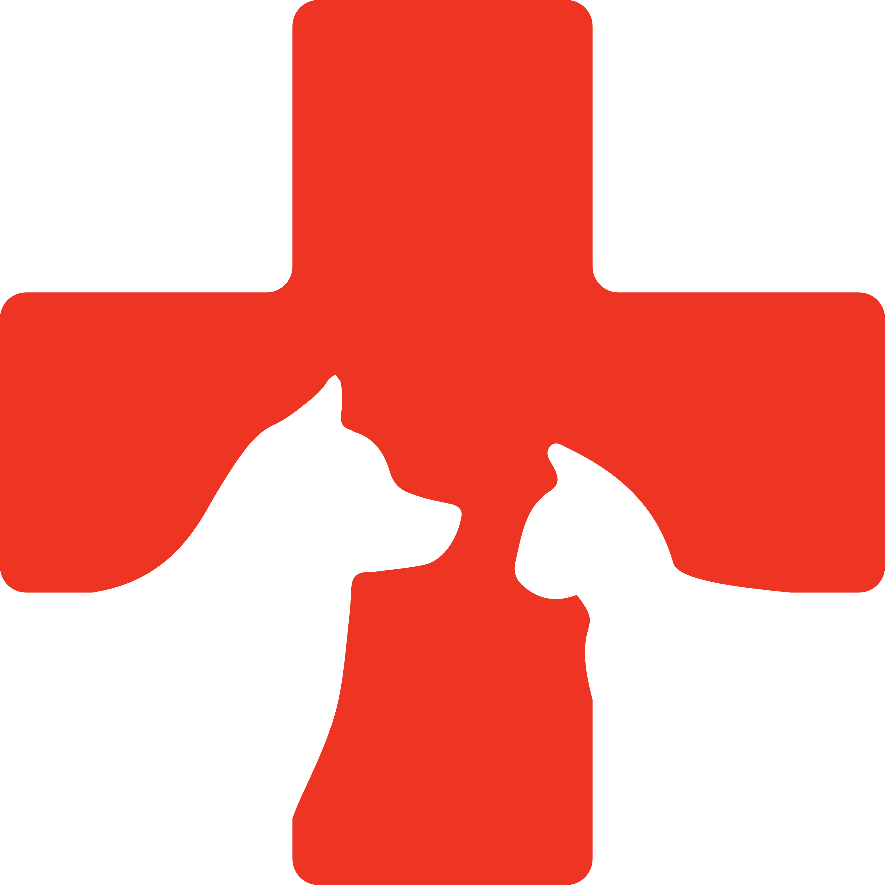 Burleson Animal Emergency Hospital Instinct Shareville