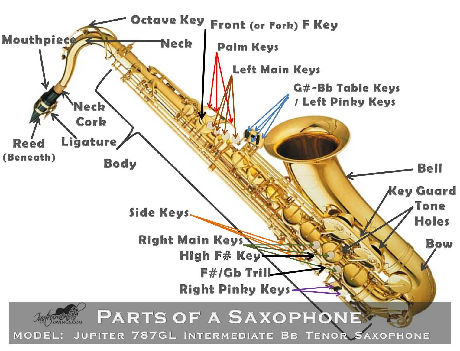 Jupiter 787GL Intermediate Bb Tenor Saxophone GoldLacquered w/ Yamaha