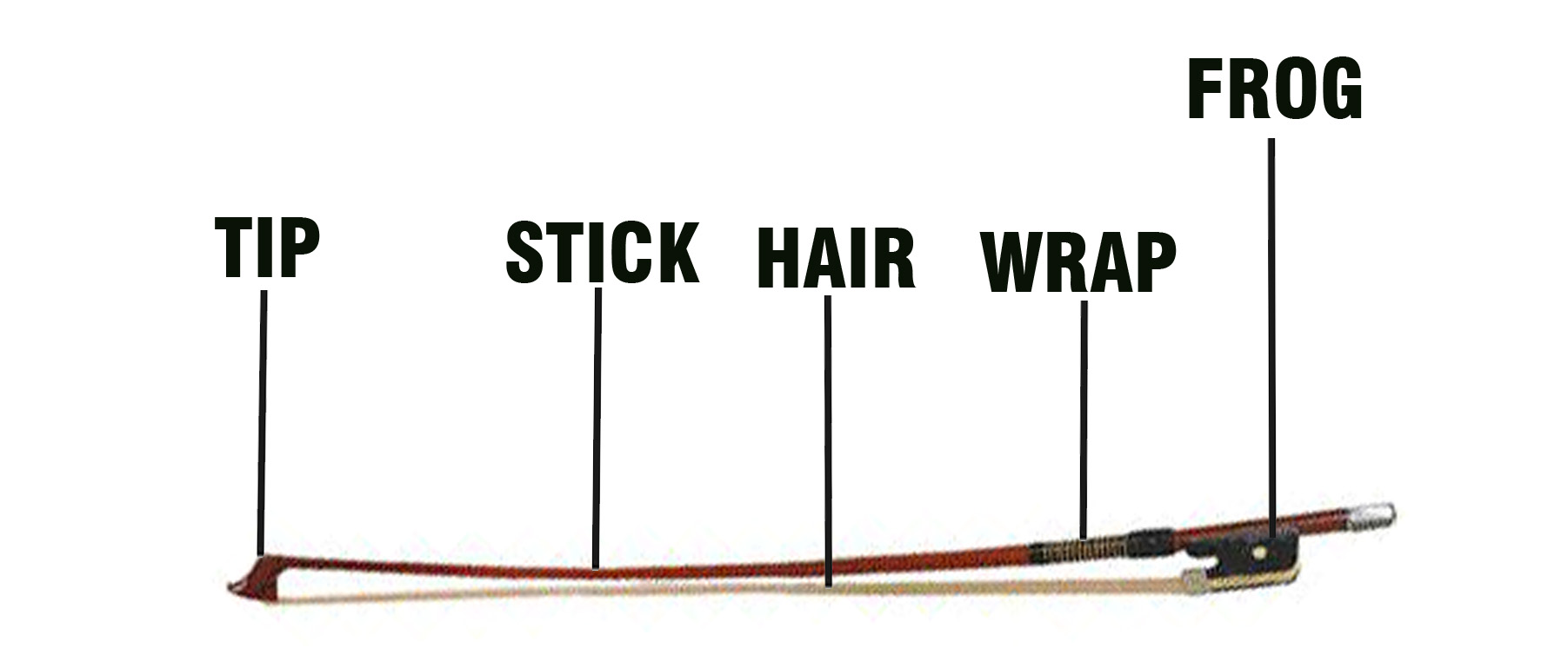 Violins for Kids What's on a bow