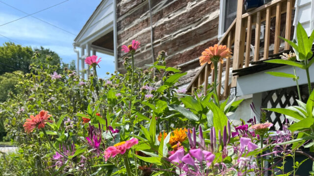 WF2277750 Shaped 2025 Blog Post Mental Health Matters ERG Post Hero