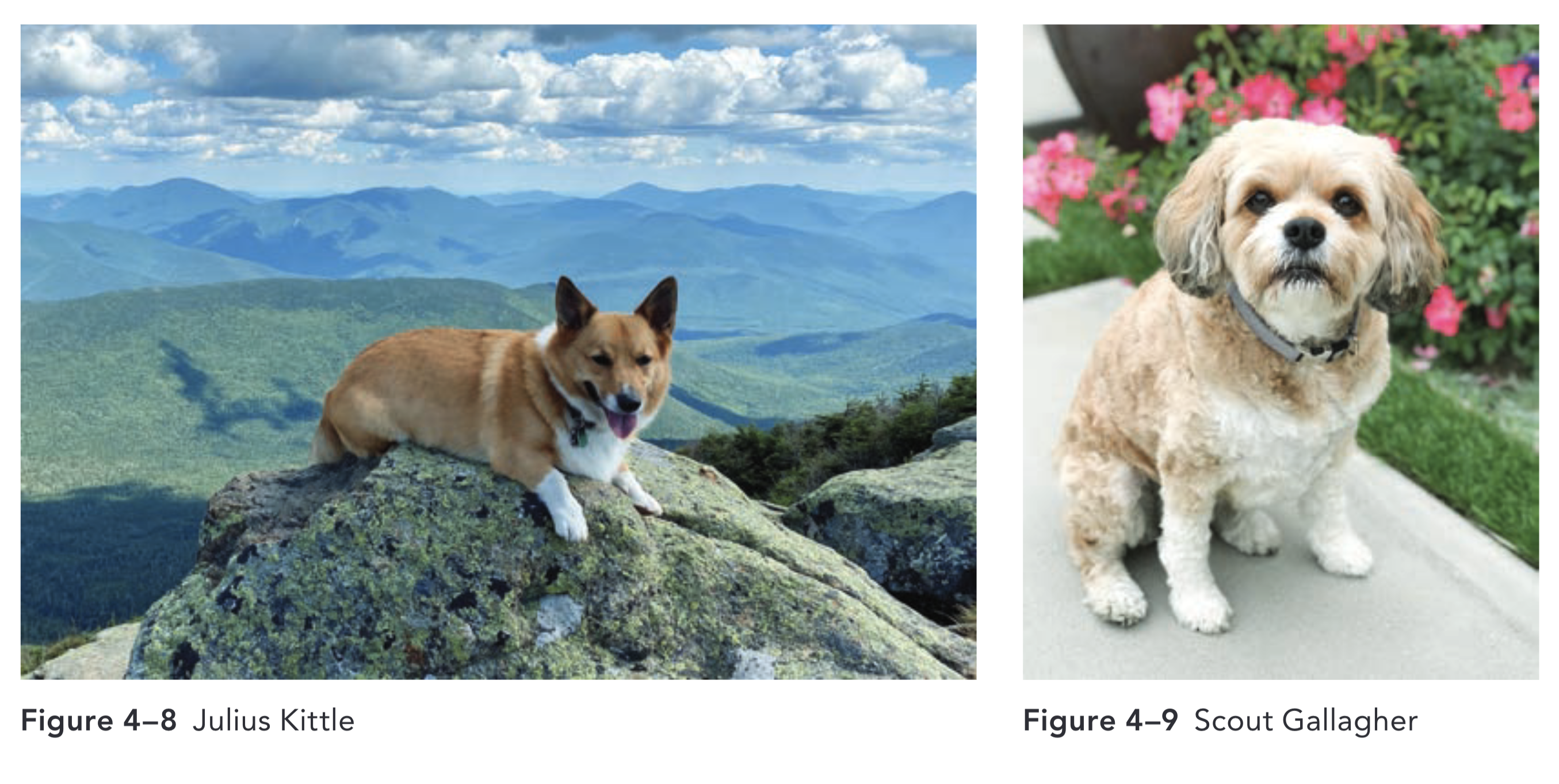Julius Kittle and Scout Gallagher Figs 4-8 and 4-9 from 4 Essential Studies