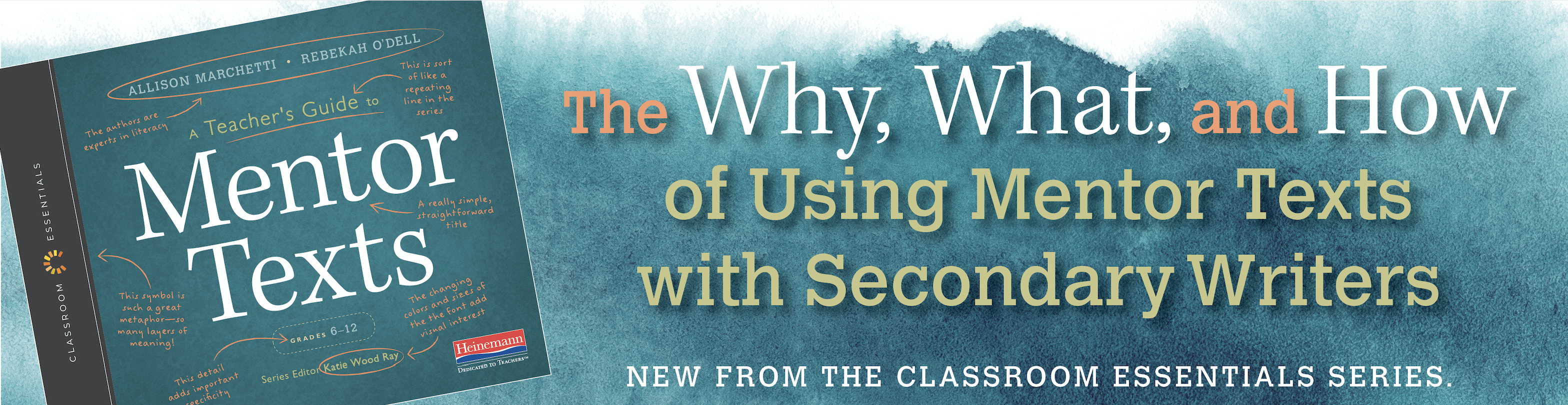 Mentor Text Footer