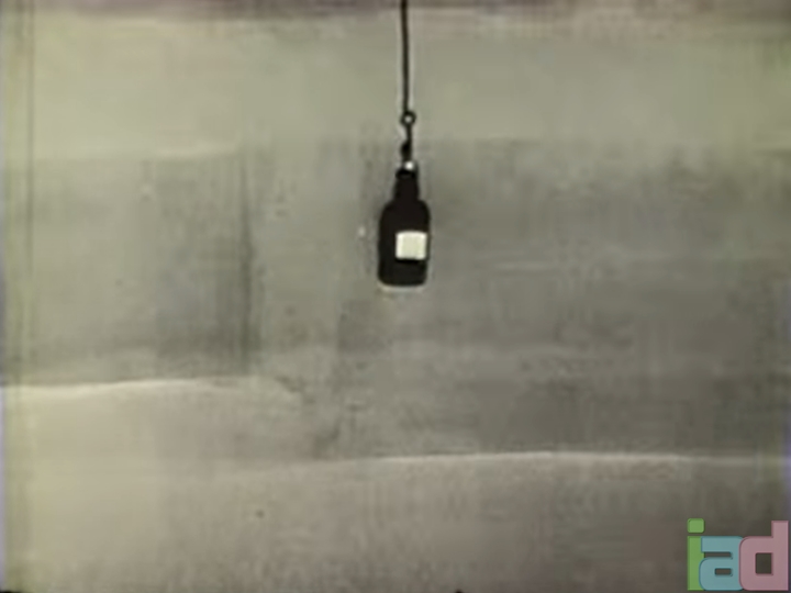 Tropical Fish (1933) - The Internet Animation Database