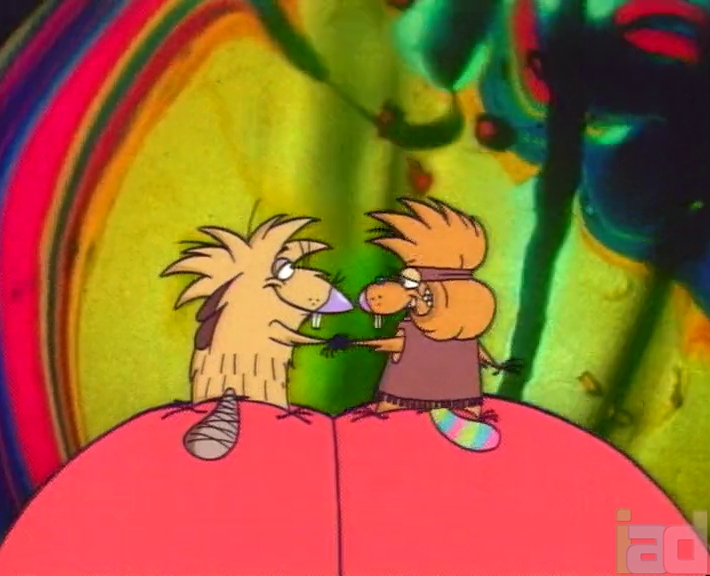 Bummer Cartoon Bummer of Love (1997) - The Internet Animation Database