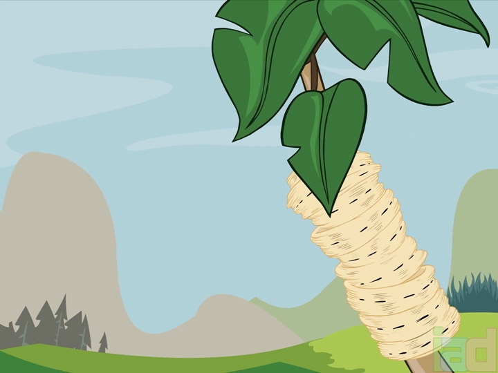 Termite Animation Termite I Ask? (2001) - The Internet Animation Database