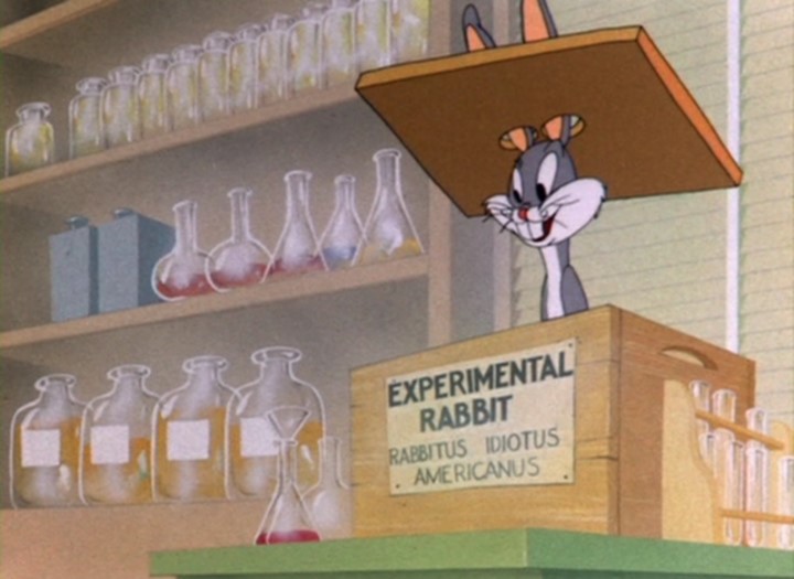 Super Rabbit (1943) - The Internet Animation Database