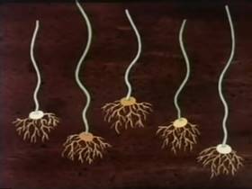 Screenshots from the 1944 Terrytoons cartoon A Day in June