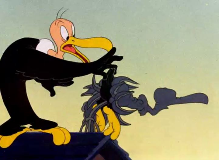 The Bashful Buzzard 1945 The Internet Animation Database David archulea compared to bashful buzzard american idol. the bashful buzzard 1945 the