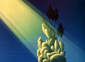 Screenshots from the 1948 Disney cartoon Trees