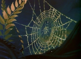 Screenshots from the 1948 Disney cartoon Trees