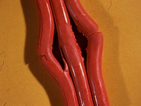 Screenshots from the 1956 Clokey Productions cartoon Gumbasia