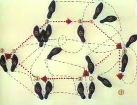 Screenshots from the 1961 Disney cartoon A Salute to Father