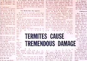 The Mighty Termite (1961) - The Internet Animation Database