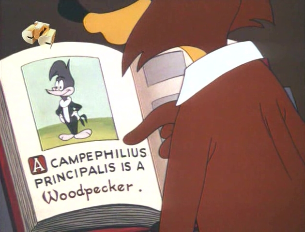 Dumb Like A Fox Screenshots