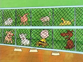 Screenshots from the 1975 Bill Melendez Productions cartoon You