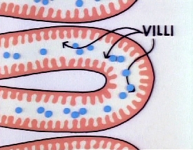 Screenshots from the 1979 Focus Design, Inc. cartoon The Body Machine