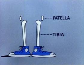 Screenshots from the 1979 Focus Design, Inc. cartoon Them Not-So-Dry Bones