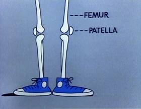 Screenshots from the 1979 Focus Design, Inc. cartoon Them Not-So-Dry Bones