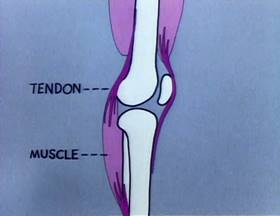 Screenshots from the 1979 Focus Design, Inc. cartoon Them Not-So-Dry Bones