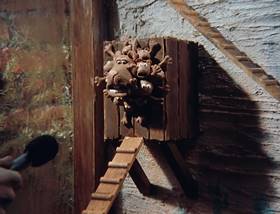 Screenshots from the 1989 Aardman cartoon Creature Comforts