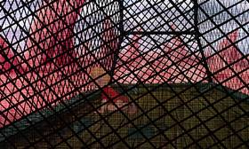 Screenshots from the 1990 Disney cartoon The Rescuers Down Under