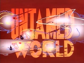 A Cartoon (1991) - The Internet Animation Database