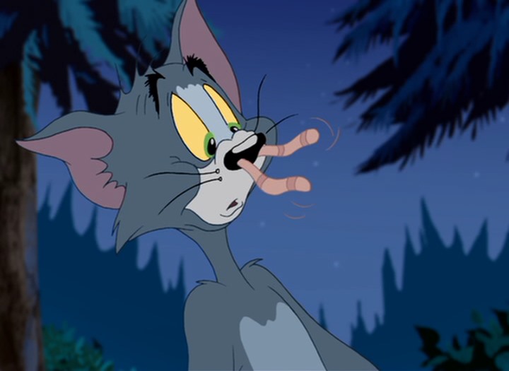 Sasquashed (2007) - The Internet Animation Database