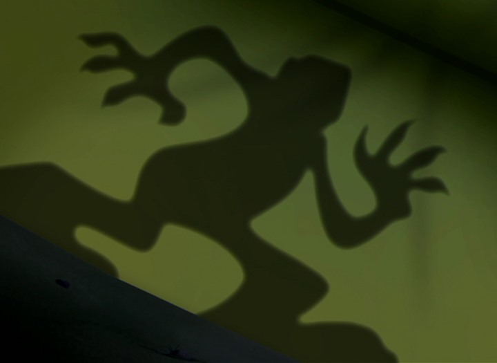 Sasquashed (2007) - The Internet Animation Database