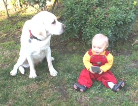 Screenshots from the 2009 Fuzzy Door Productions cartoon Road to the Multiverse