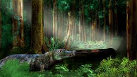 Screenshots from the 2009 Focus Design, Inc. cartoon The Rainforest