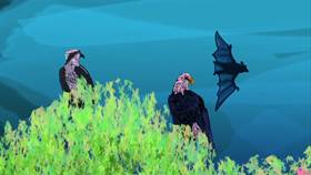 Screenshots from the 2009 Focus Design, Inc. cartoon The Rainforest