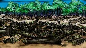 Screenshots from the 2009 Focus Design, Inc. cartoon The Rainforest