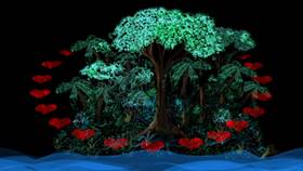 Screenshots from the 2009 Focus Design, Inc. cartoon The Rainforest