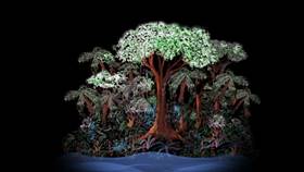 Screenshots from the 2009 Focus Design, Inc. cartoon The Rainforest