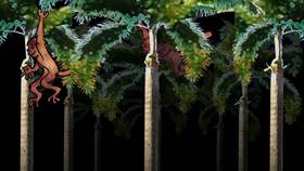 Screenshots from the 2009 Focus Design, Inc. cartoon The Rainforest