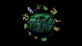 Screenshots from the 2009 Focus Design, Inc. cartoon The Rainforest