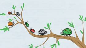 Screenshots from the 2009 Focus Design, Inc. cartoon A Tiny Urban Zoo