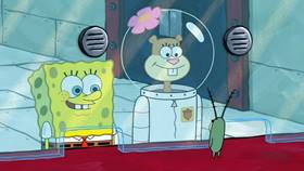 Screenshots from the 2012 United Plankton Pictures cartoon Squirrel Record