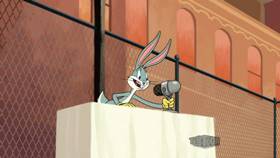 Screenshots from the 2019 Warner Bros. Television cartoon Basket Bugs