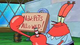 Screenshots from the 2020 United Plankton Pictures cartoon A Place for Pets